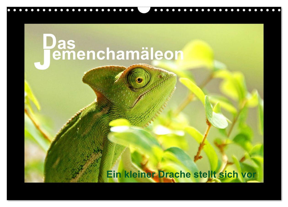 Das Jemenchamäleon (CALVENDO Wandkalender 2026)