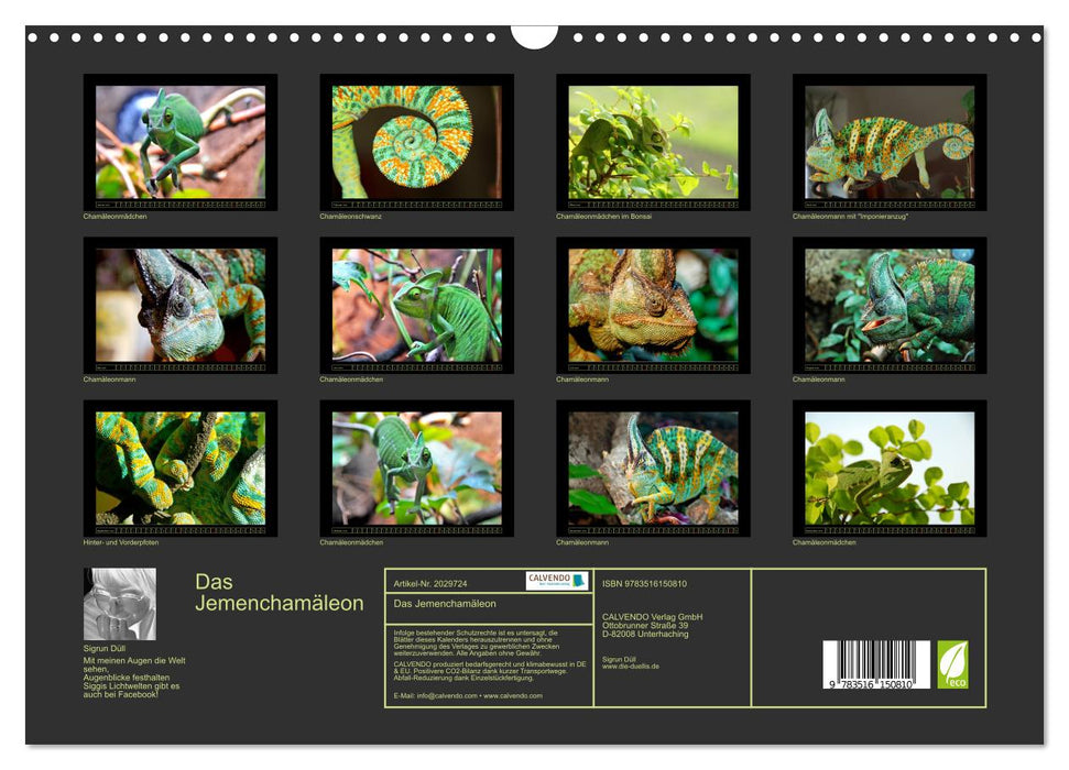 Das Jemenchamäleon (CALVENDO Wandkalender 2026)