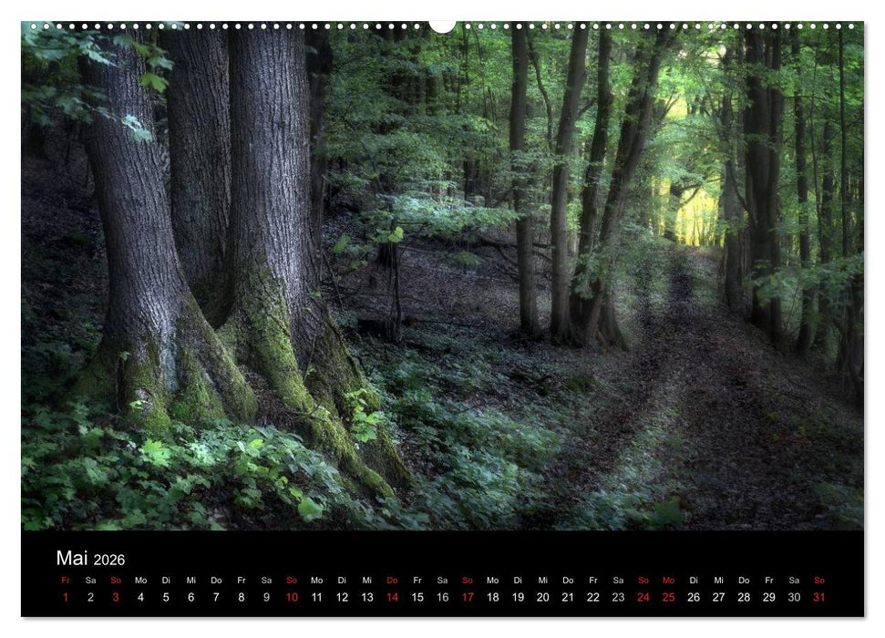 Waldkalender (CALVENDO Premium Wandkalender 2026)