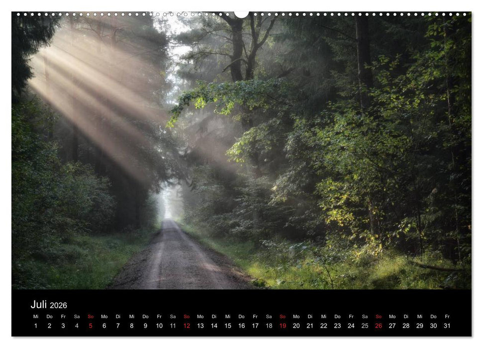 Waldkalender (CALVENDO Premium Wandkalender 2026)