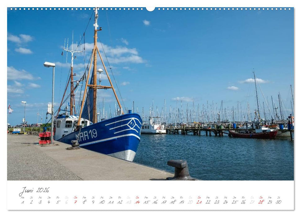 "Landarzt" - Plätze an Schlei und Ostsee (CALVENDO Premium Wandkalender 2026)