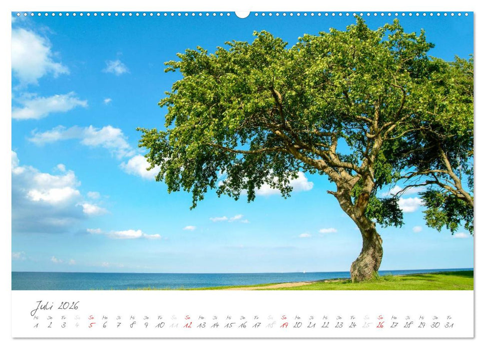 "Landarzt" - Plätze an Schlei und Ostsee (CALVENDO Premium Wandkalender 2026)