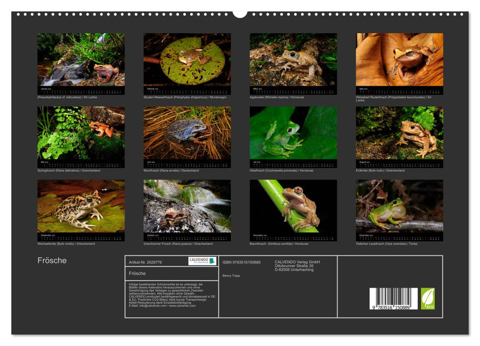 Frösche (CALVENDO Premium Wandkalender 2026)