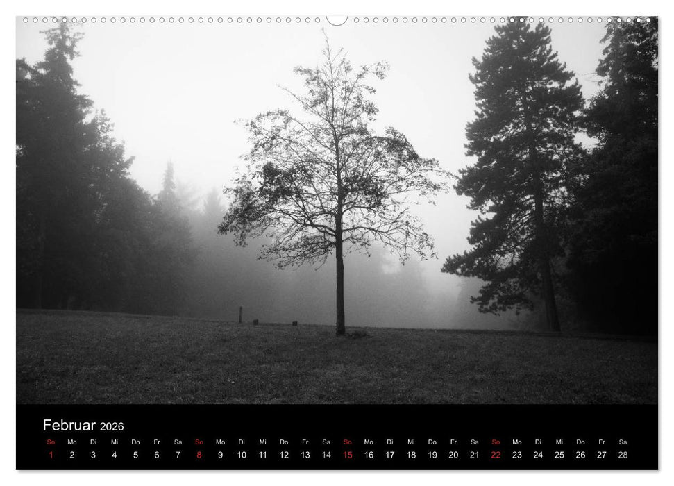 Bäume trees 2026 (CALVENDO Premium Wandkalender 2026)