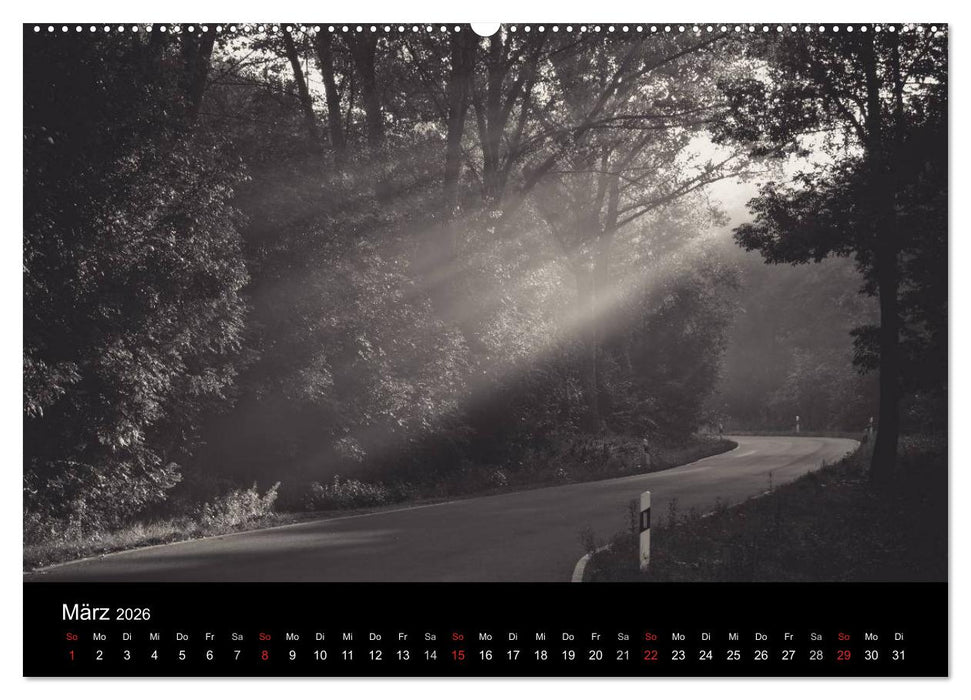 Bäume trees 2026 (CALVENDO Premium Wandkalender 2026)