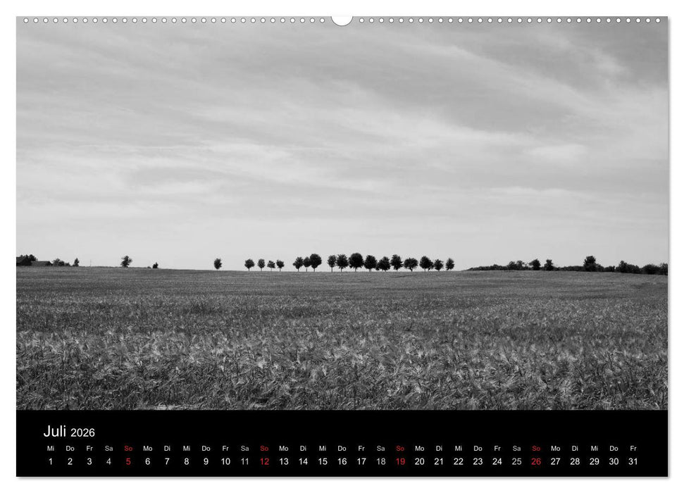 Bäume trees 2026 (CALVENDO Premium Wandkalender 2026)