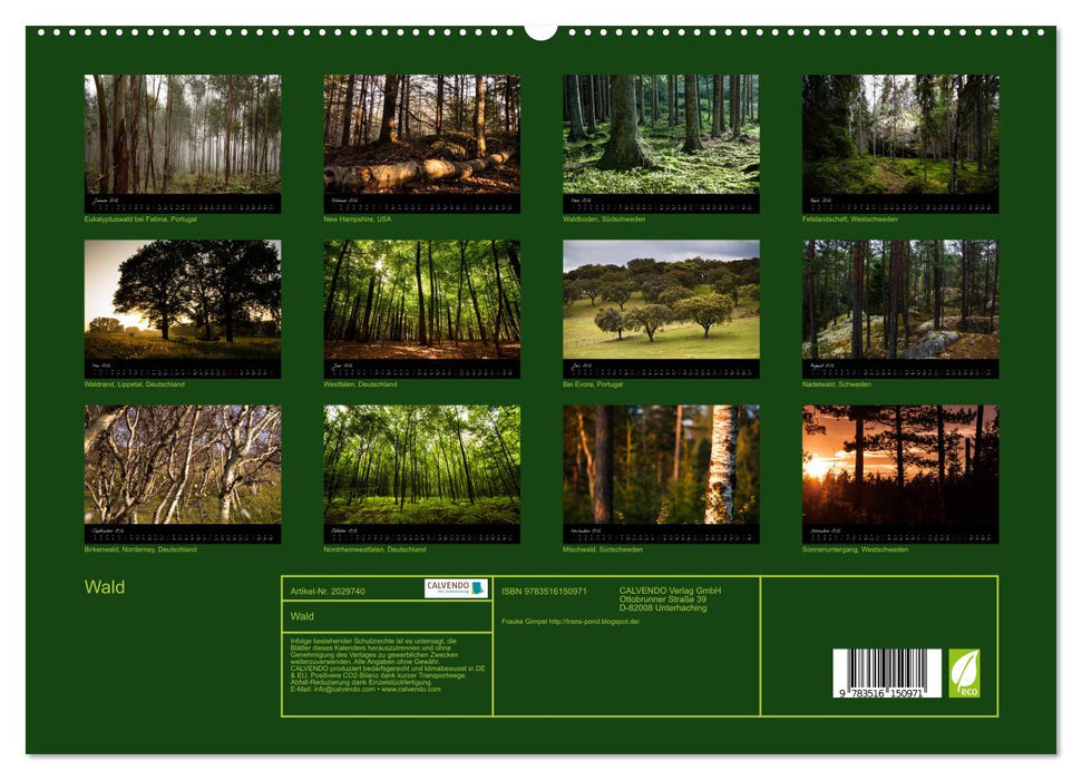 Wald (CALVENDO Premium Wandkalender 2026)