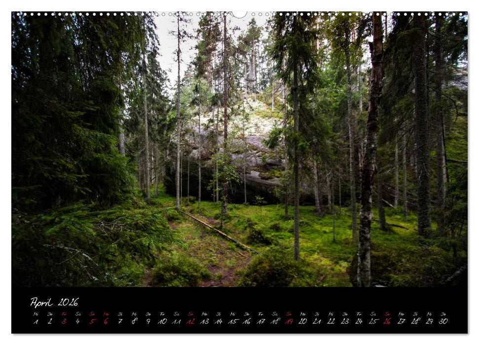 Wald (CALVENDO Premium Wandkalender 2026)