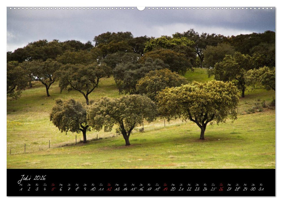 Wald (CALVENDO Premium Wandkalender 2026)