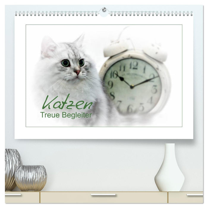 Katzen – Treue Begleiter (CH - Version) (CALVENDO Premium Wandkalender 2026)