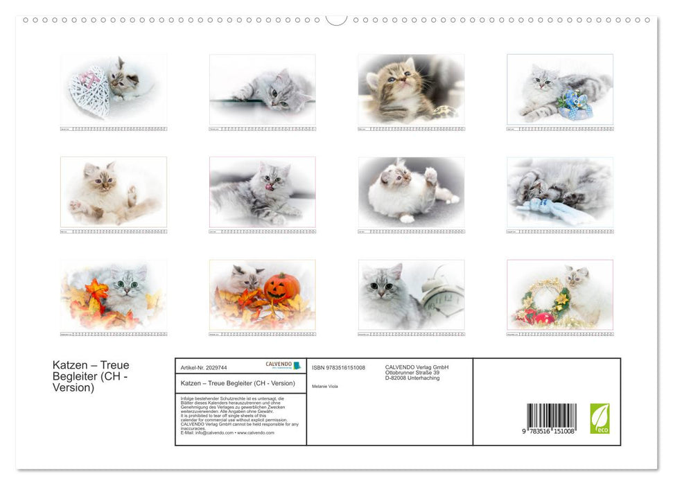 Katzen – Treue Begleiter (CH - Version) (CALVENDO Premium Wandkalender 2026)