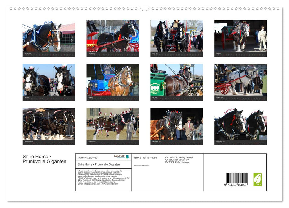Shire Horse • Prunkvolle Giganten (CALVENDO Premium Wandkalender 2026)