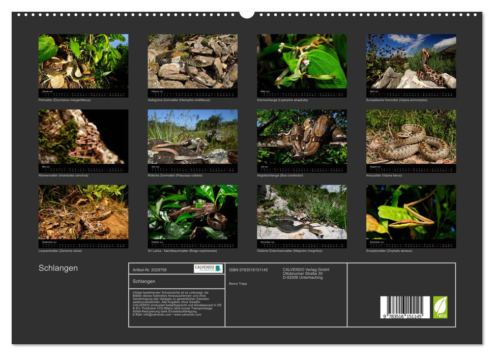 Schlangen (CALVENDO Premium Wandkalender 2026)