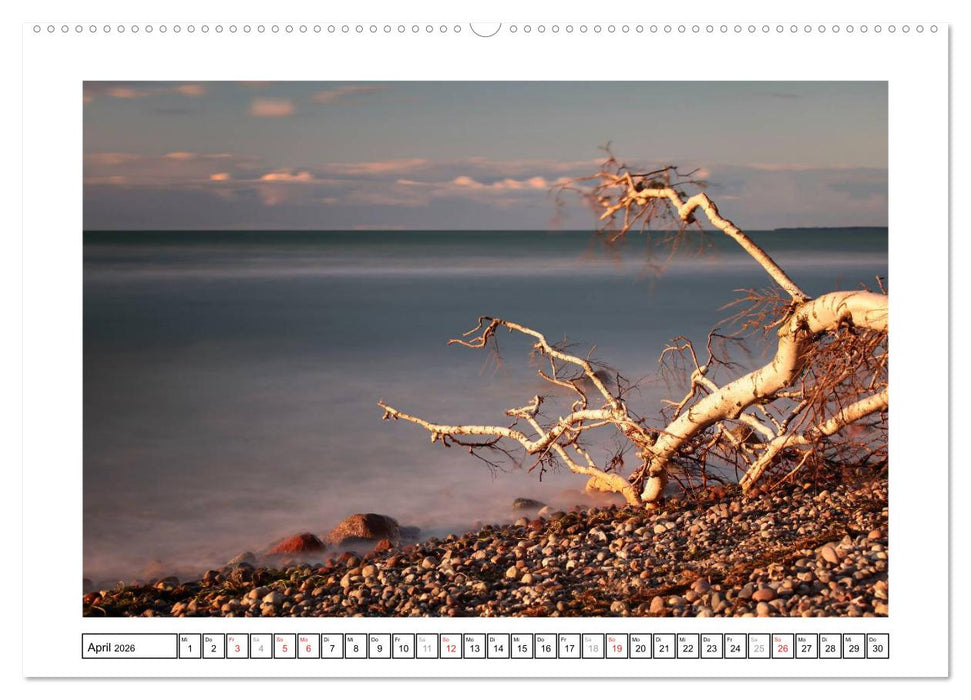 Die Ostseeküste (CALVENDO Premium Wandkalender 2026)