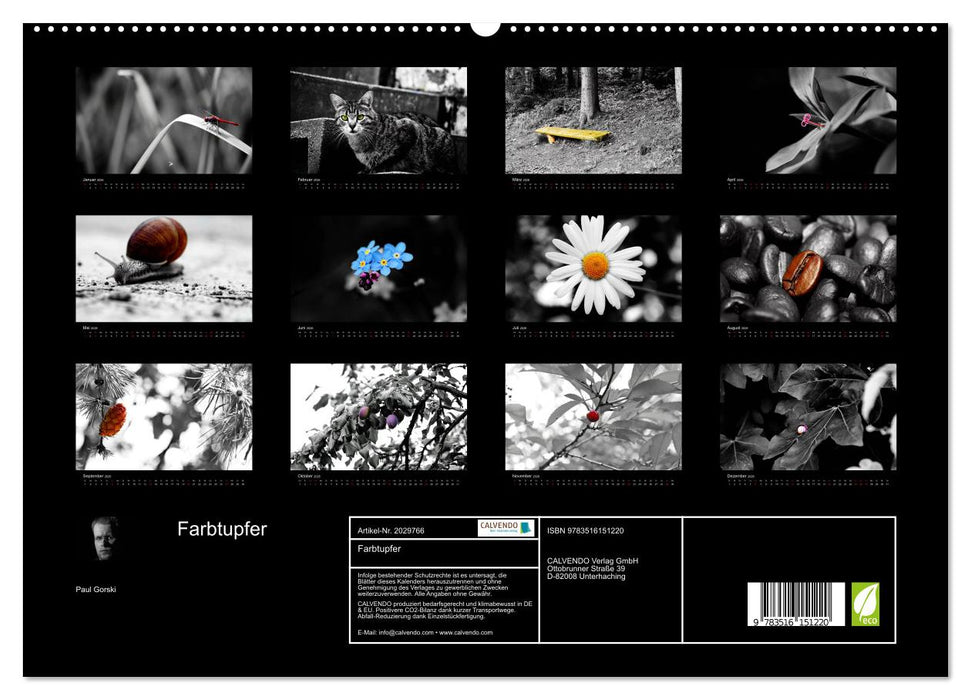 Farbtupfer (CALVENDO Premium Wandkalender 2026)