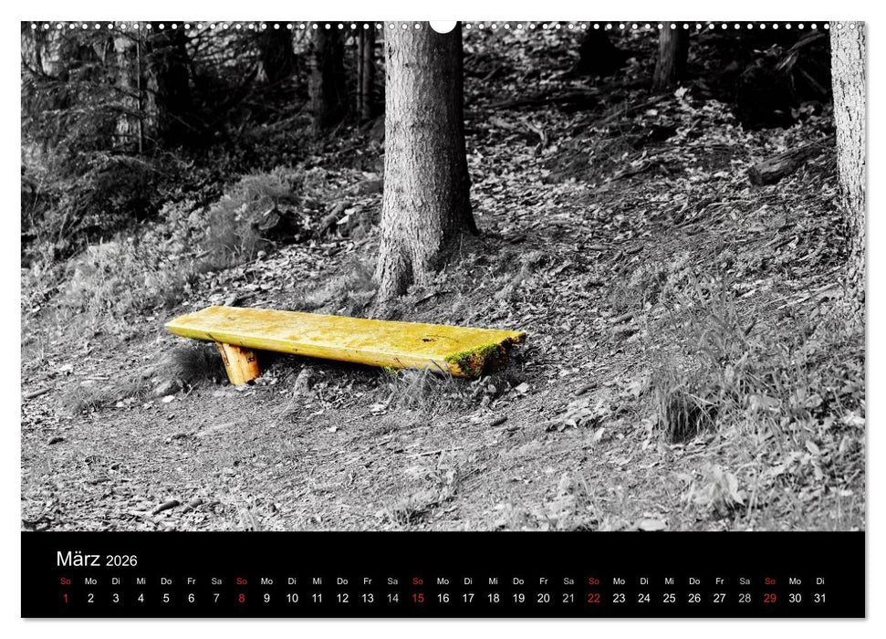 Farbtupfer (CALVENDO Premium Wandkalender 2026)