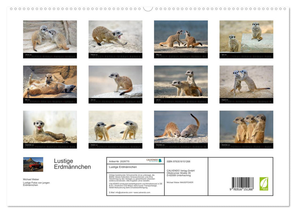 Lustige Erdmännchen (CALVENDO Premium Wandkalender 2026)