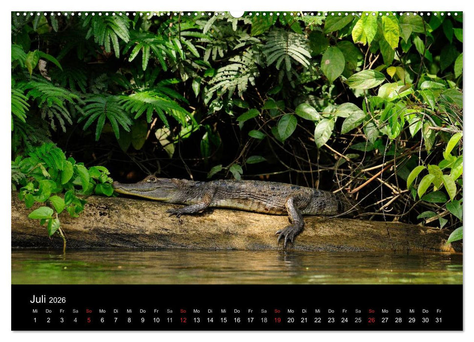 REPTILIEN (CALVENDO Premium Wandkalender 2026)