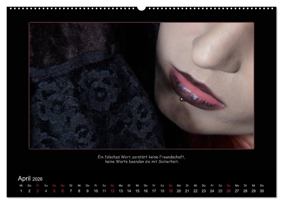 Freundschaft (CALVENDO Premium Wandkalender 2026)