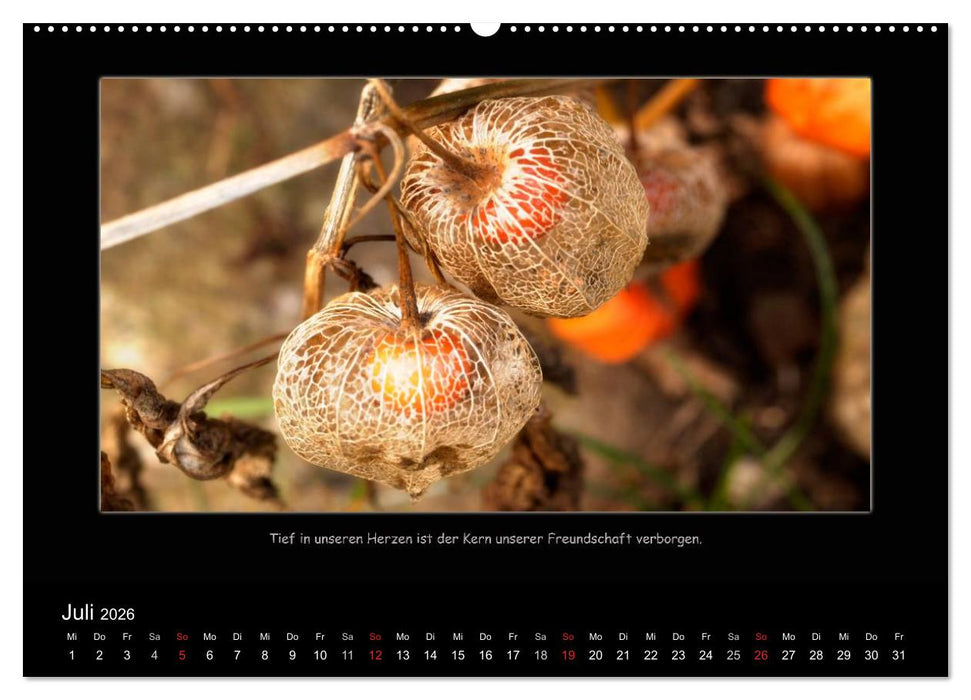 Freundschaft (CALVENDO Premium Wandkalender 2026)