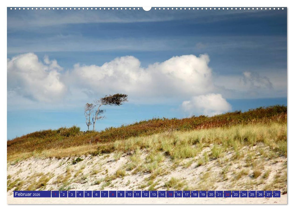 Weststrand Darß (CALVENDO Premium Wandkalender 2026)