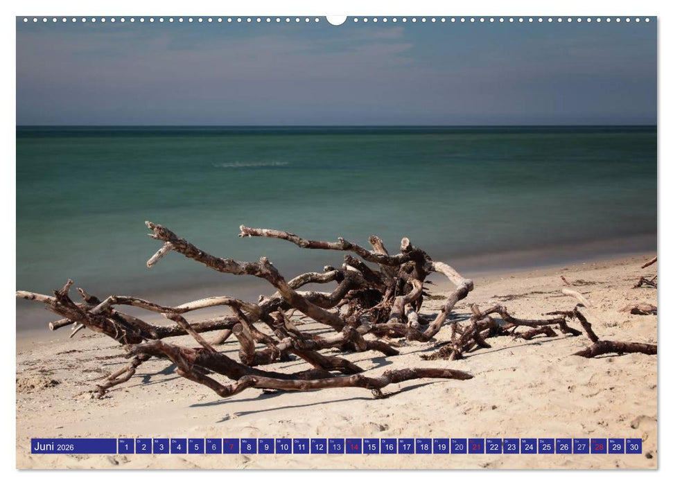 Weststrand Darß (CALVENDO Premium Wandkalender 2026)