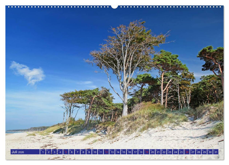 Weststrand Darß (CALVENDO Premium Wandkalender 2026)