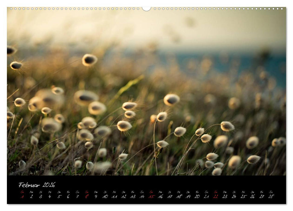 Frankreich Bretagne (CALVENDO Premium Wandkalender 2026)