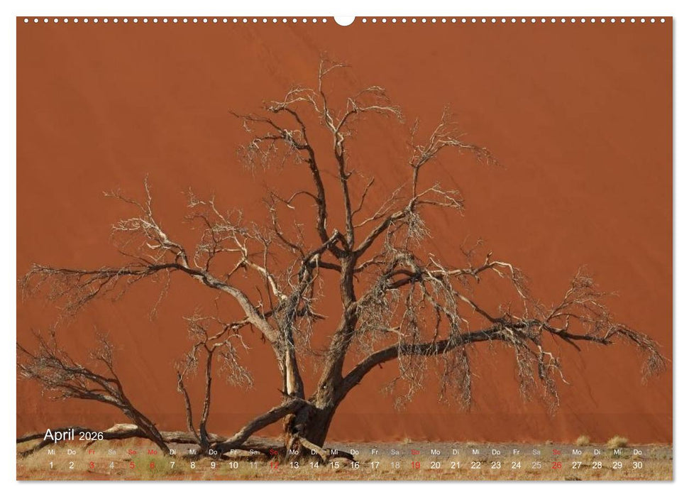 Afrikanische Bäume (CALVENDO Premium Wandkalender 2026)