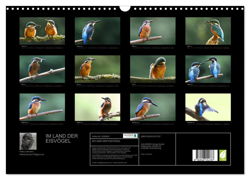 IM LAND DER EISVÖGEL (CALVENDO Wandkalender 2026)