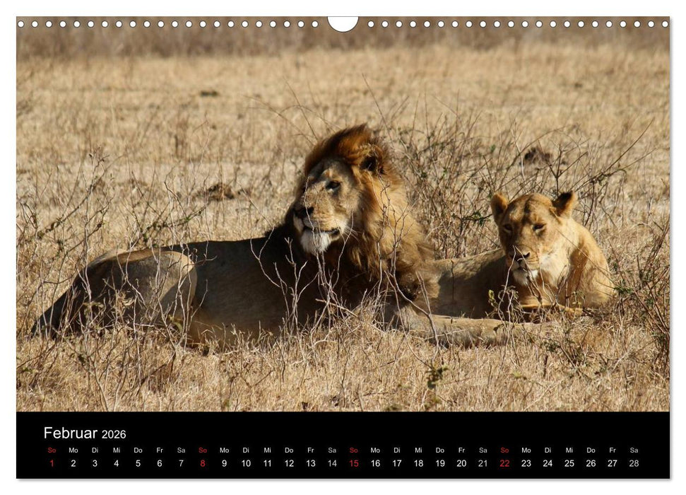 Tansania (CALVENDO Wandkalender 2026)