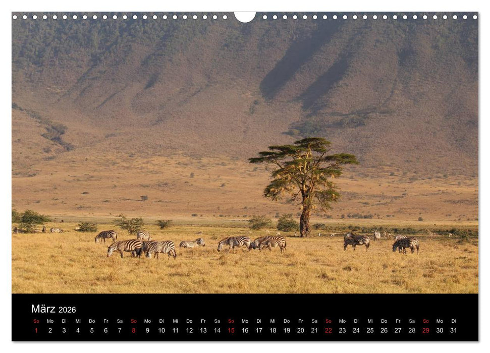 Tansania (CALVENDO Wandkalender 2026)