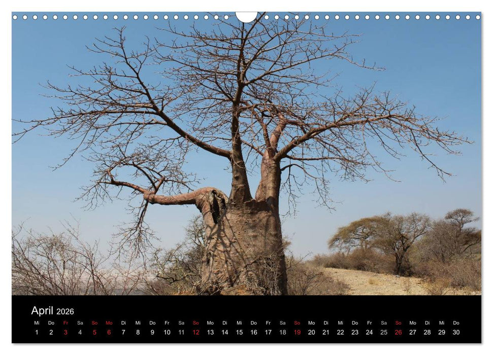 Tansania (CALVENDO Wandkalender 2026)