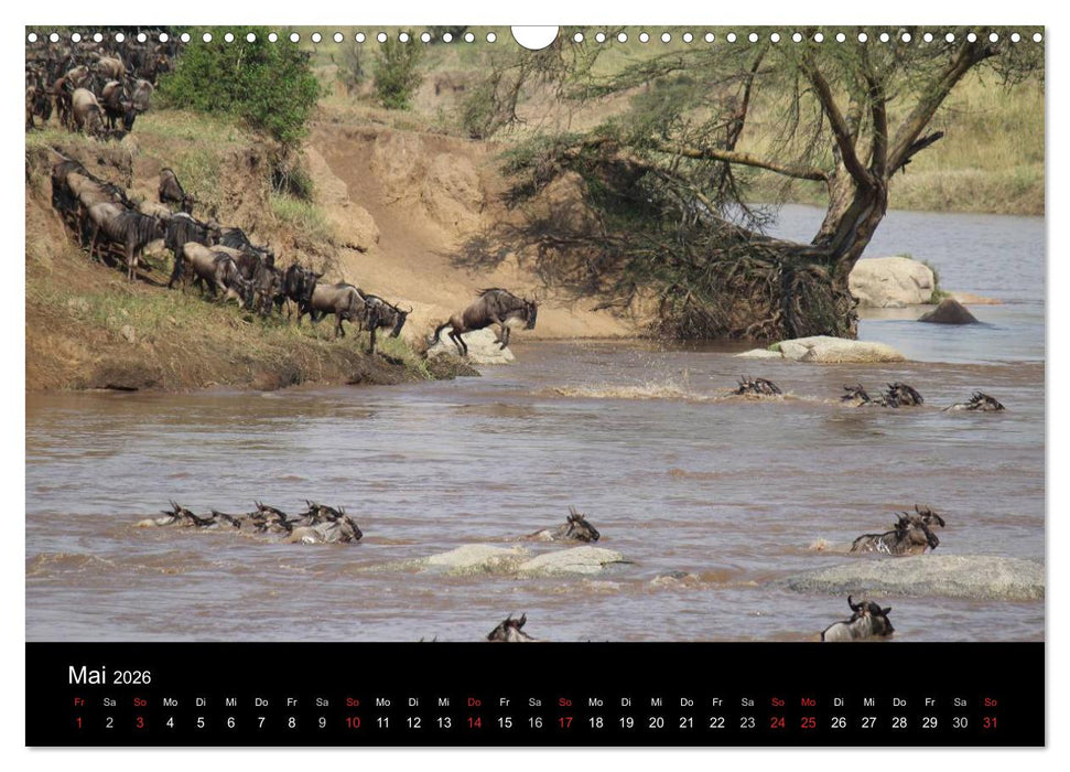 Tansania (CALVENDO Wandkalender 2026)