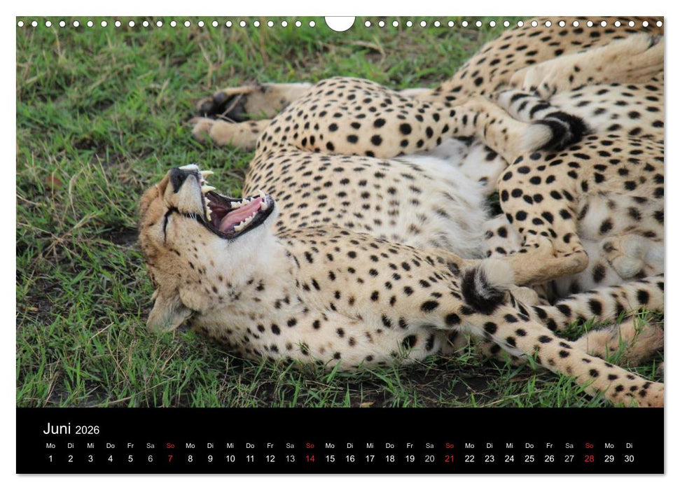 Tansania (CALVENDO Wandkalender 2026)