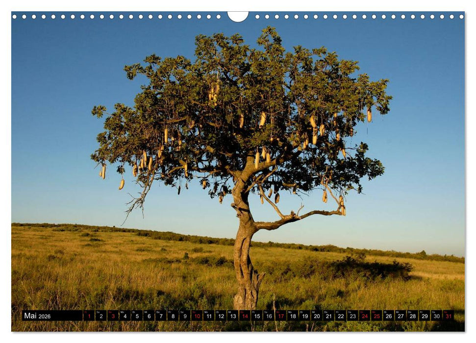 Kenia einmal anders (CALVENDO Wandkalender 2026)