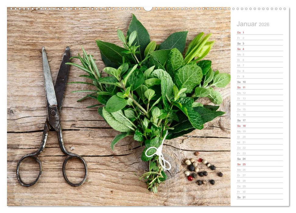 Küchenkalender 2026 (CALVENDO Premium Wandkalender 2026)