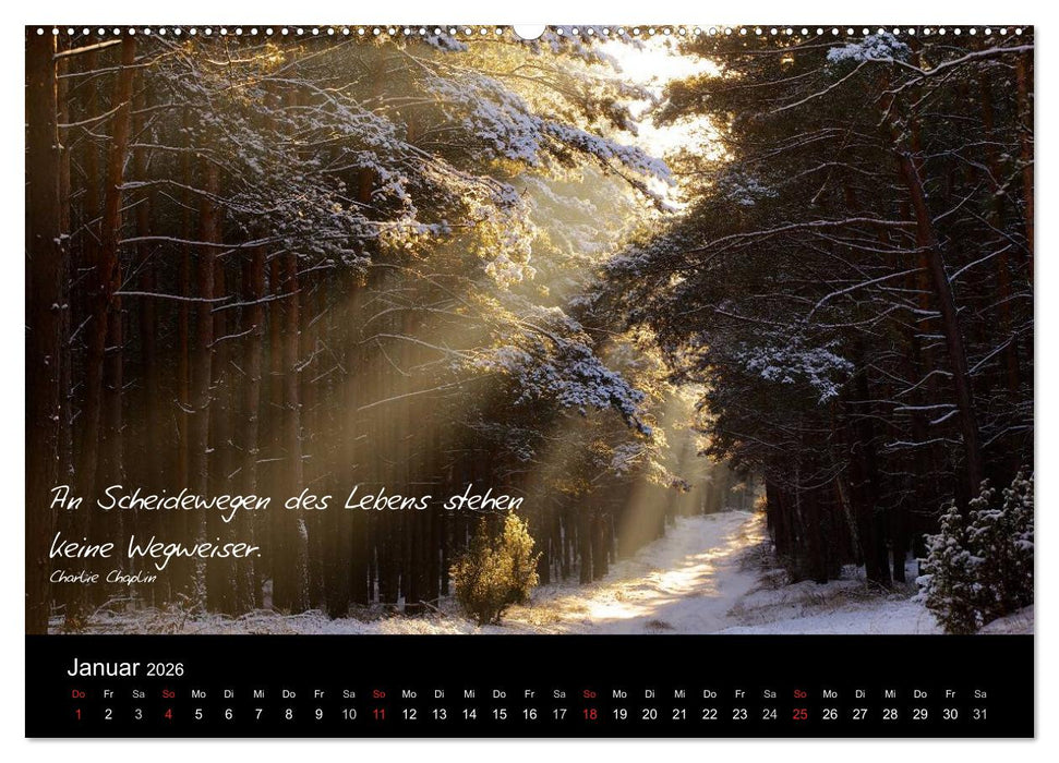 Poetische Wege (CALVENDO Premium Wandkalender 2026)