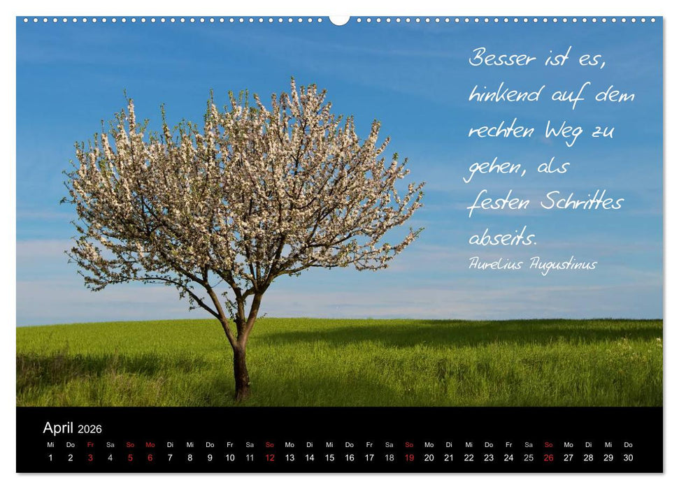 Poetische Wege (CALVENDO Premium Wandkalender 2026)
