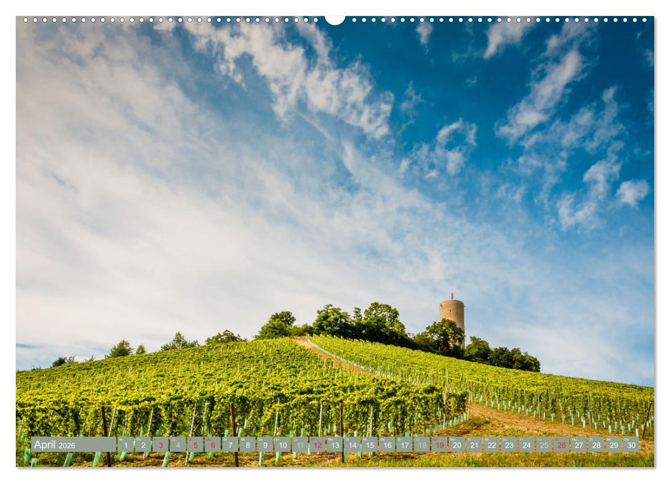 Kultur im Rheingau (CALVENDO Premium Wandkalender 2026)