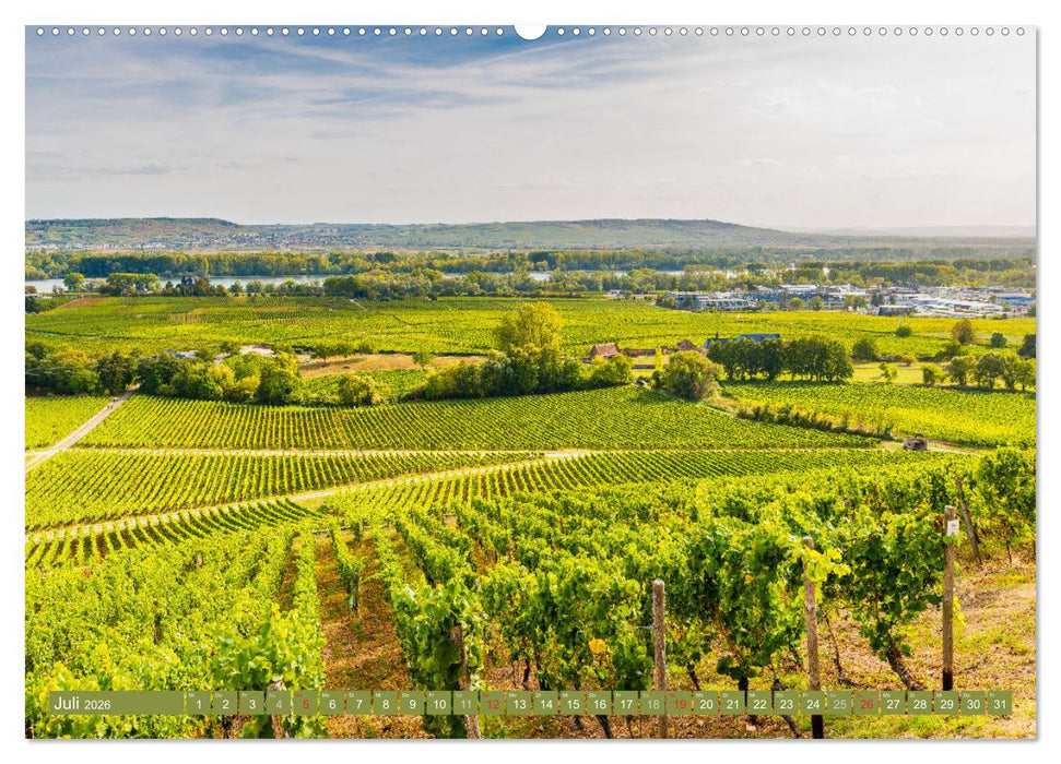 Kultur im Rheingau (CALVENDO Premium Wandkalender 2026)