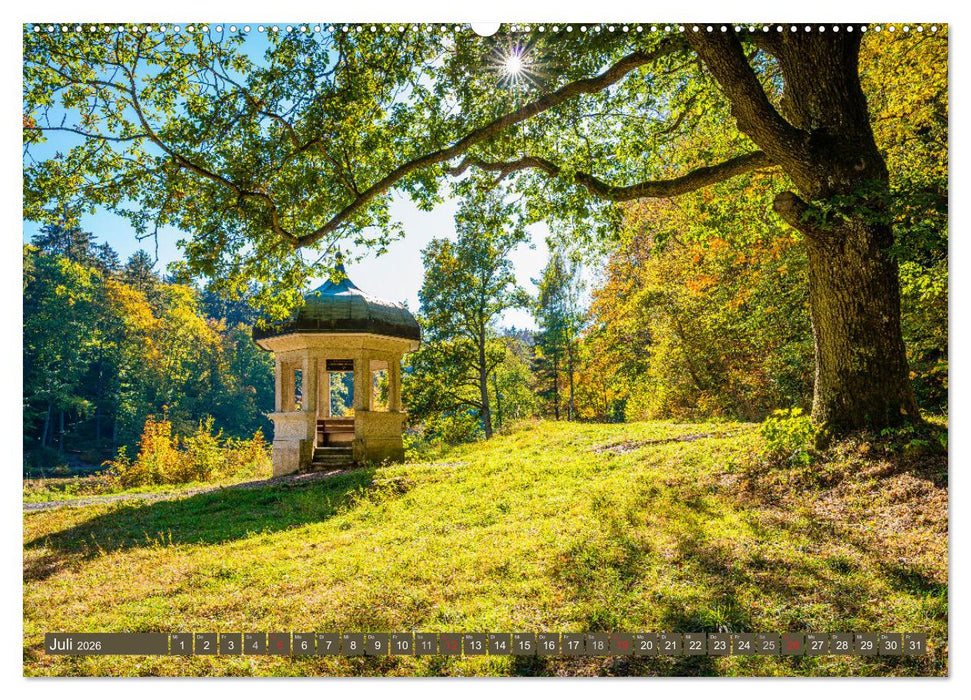 Kulturlandschaft Rheingau (CALVENDO Premium Wandkalender 2026)