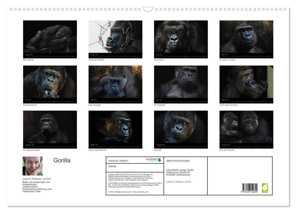 Gorilla (CALVENDO Wandkalender 2026)