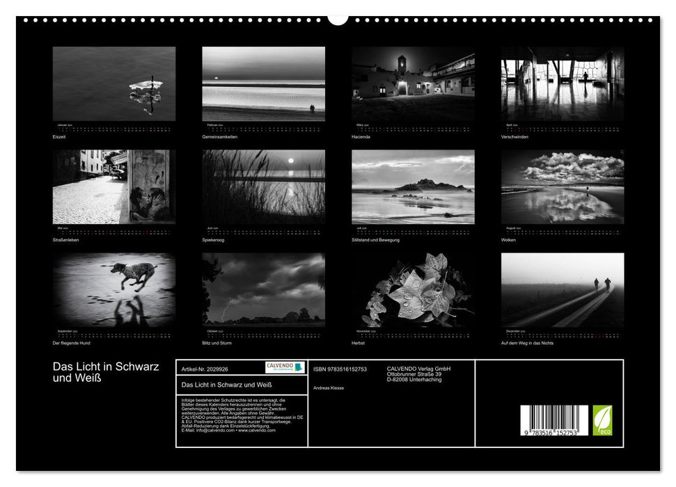 Das Licht in Schwarz und Weiß (CALVENDO Premium Wandkalender 2026)