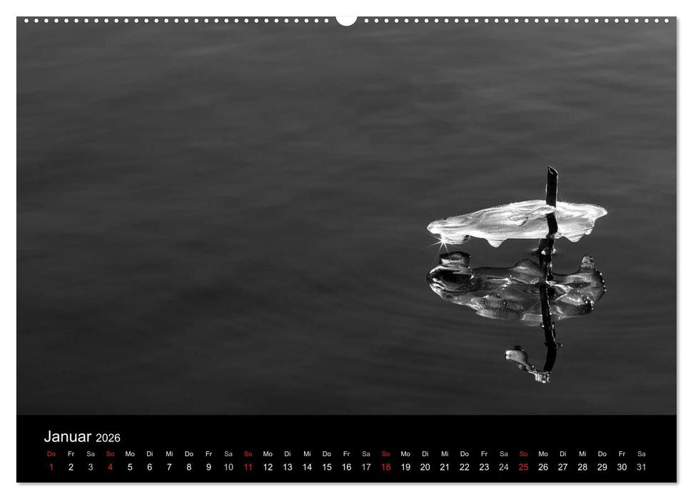 Das Licht in Schwarz und Weiß (CALVENDO Premium Wandkalender 2026)