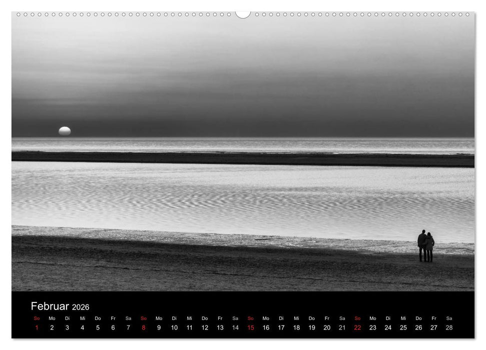 Das Licht in Schwarz und Weiß (CALVENDO Premium Wandkalender 2026)