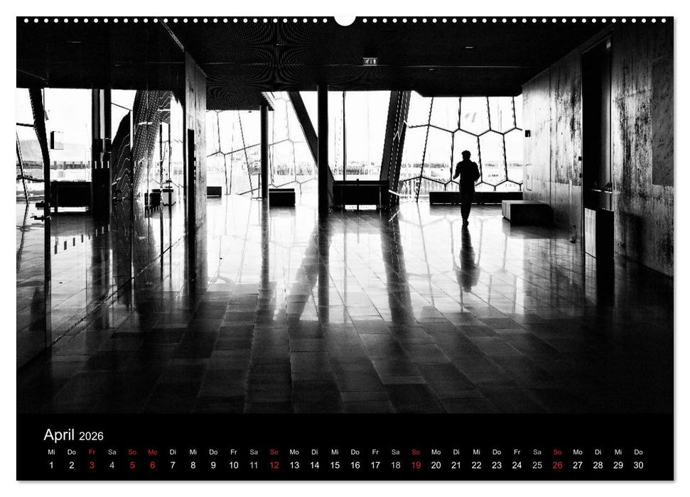 Das Licht in Schwarz und Weiß (CALVENDO Premium Wandkalender 2026)