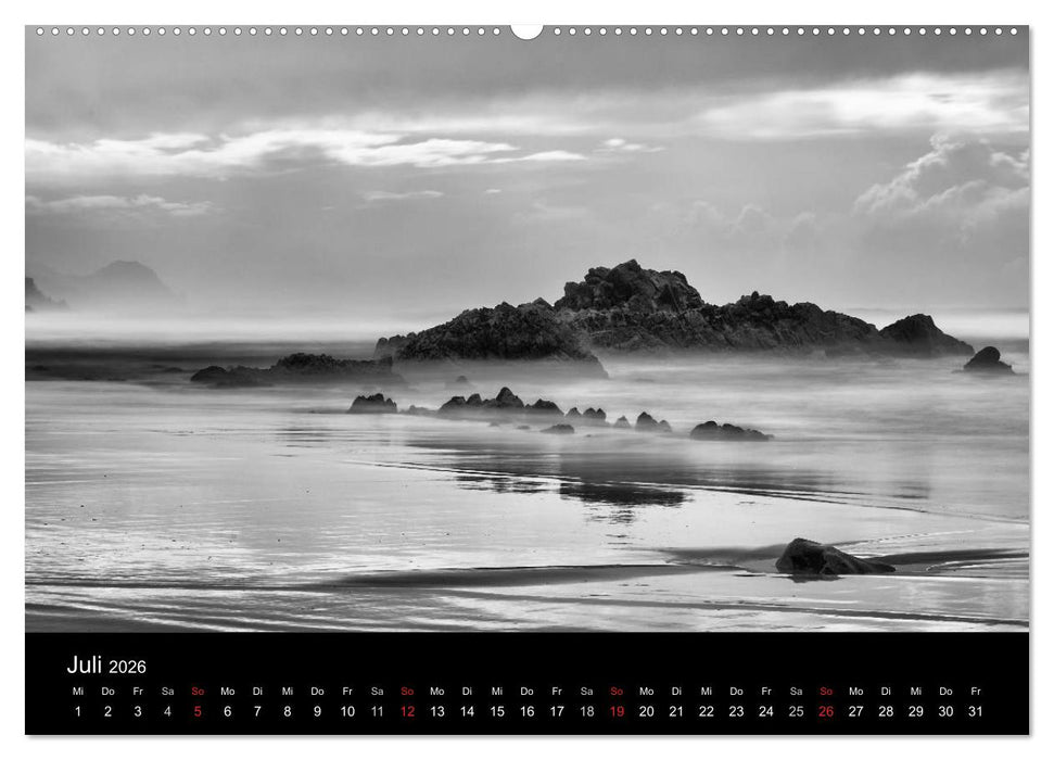 Das Licht in Schwarz und Weiß (CALVENDO Premium Wandkalender 2026)