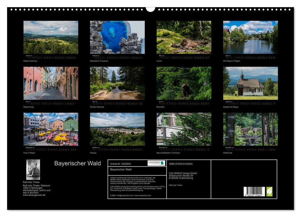 Bayerischer Wald (CALVENDO Wandkalender 2026)
