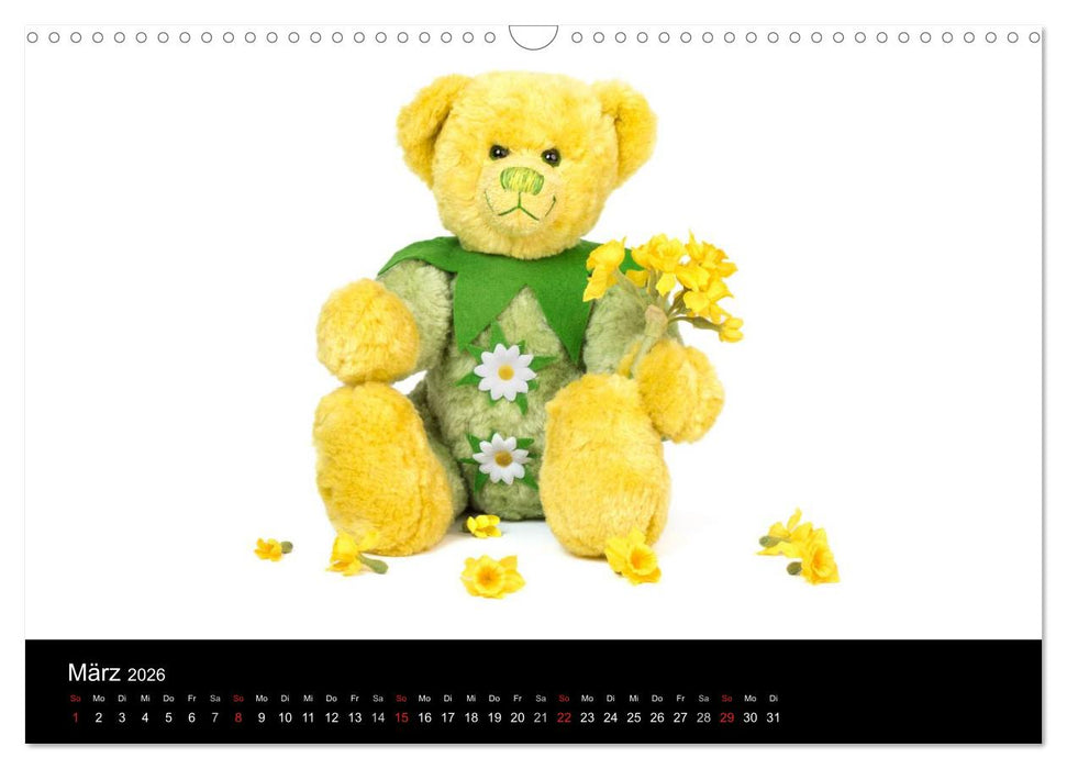 Martin Bären aus Sonneberg (CALVENDO Wandkalender 2026)